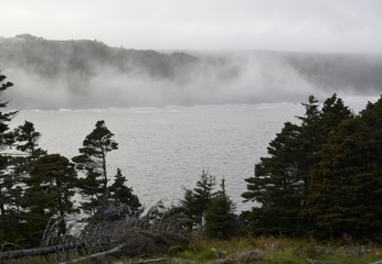 looking down towards the bay with fog lifting over the shoreline, Newfoundland 