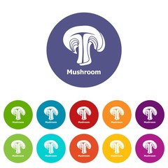 Mushroom icons color set vector for any web design on white background
