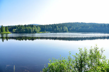 Fototapeta na wymiar stiller See im Frühling Fichtelsee Fichtelgebirge