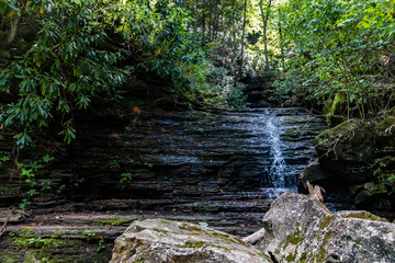 Naklejka na ściany i meble A little waterfall trickiling down the rocks of a forest mountainside.