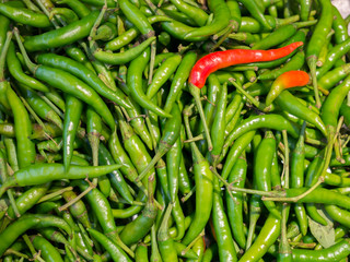 A fresh green guinea peper