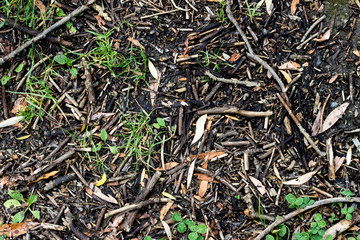 soil and stones texture 