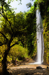 Waterfall landscape view of fresh water flows over a vertical drop to green field in Tropicana