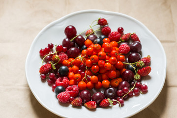 Strawberries, raspberries, red and black currants, cherry, rowan berries in a plate; harvested berries, food, health, vitamin concept