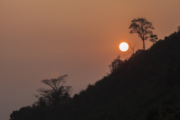 A sun is rising on top of mountain with big tree silhouette background