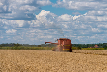 Red harvester cuts wheat in field