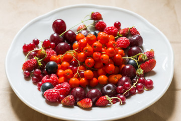Strawberries, raspberries, red and black currants, cherry, rowan berries in a plate; harvested berries, food, health, vitamin concept