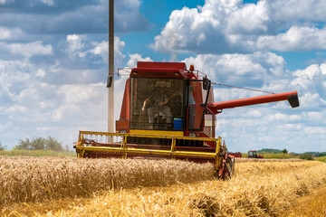 Red harvester cuts wheat in field