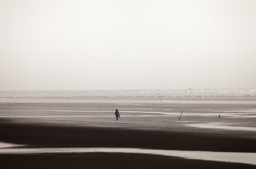 Obraz premium A man walking along black & white sand on the beach 