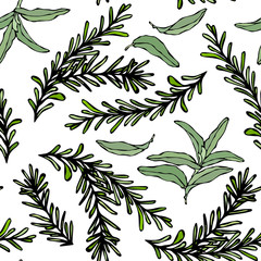 Naklejka na ściany i meble Seamless Endless Pattern of Rosemary Branch and Sage. Background with Aromatic Healing Herb. Steak Meat Spice. Hand Drawn Illustration. Savoyar Doodle Style.