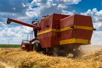 Red harvester cuts wheat in field