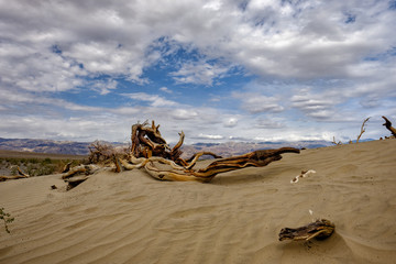 The Mesquite sand dunes in Death Valley with the sierra mountains in the background