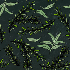 Seamless Endless Pattern of Rosemary Branch and Sage. Background with Aromatic Healing Herb. Steak Meat Spice. Hand Drawn Illustration. Savoyar Doodle Style. Black Board Background and Chalk.