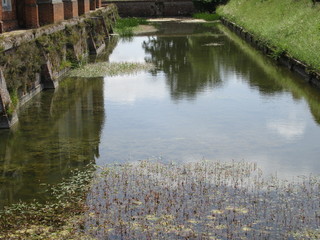 Fototapeta na wymiar Water in an old moat