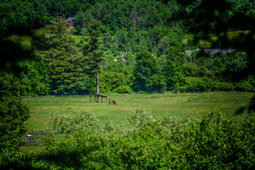 Fototapeta na wymiar Picturesque Vermont's views