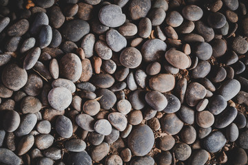 pebbles 19