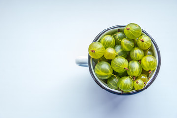 White cup Filled With Succulent Juicy Fresh Ripe Green Gooseberries On white background, Top view. Summer detoz food concept. copy space.