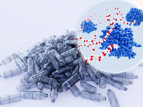 Das bakterielle Enzmy PETase baut PET-Plastik zu monomeren Bausteinen ab. Der gesamte bakterielle Abbauprozess liefert  Ethylnglykol und Terephtals&auml;ure.