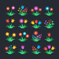 Flowers set. Beautiful plants and flowers collection. Modern graphic elements. Flat design. Vector illustration