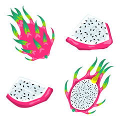 Set of dragon fruits isolated on white background. Vector Illustration of the exotic tropical food.