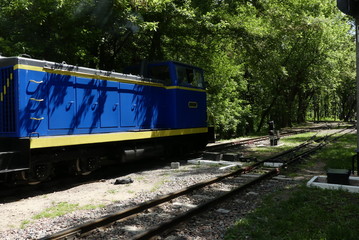 The locomotive is traveling along the railway tracks in the middle of the forest.