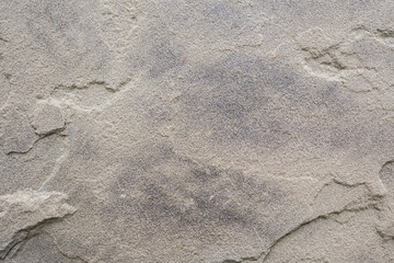 close up of cement wall texture grey color