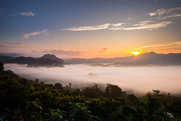 Pure of foggy in forest at top of mountain in rainy season located north of Thailand