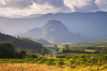 Naklejka premium Rice terrace in front of mountain at sunrise timing located at north of Thailand