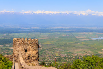 View on Alazani valley and tower of old city wall in city Sighnaghi, Kakheti, Georgia © olyasolod