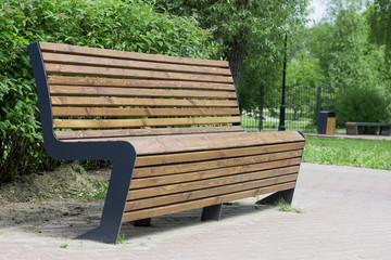 wooden brown bench in the summer green sunny forest park