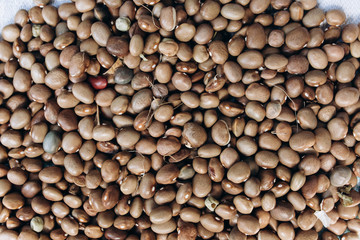 Kidney beans background texture. Vegan and vegetarian photo. Ecological green food.