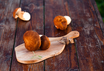 boletus edulis over Wooden Background. Autumn Cep Mushrooms. Cooking delicious organic mushroom. Gourmet food