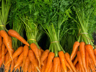 small orange carrot  put on table in fresh market 