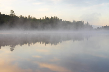 misty morning