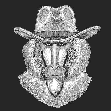 Monkey, baboon, dog-ape, ape. Wild west. Traditional american cowboy hat. Texas rodeo. Print for children, kids t-shirt. Image for emblem, badge, logo, patch.