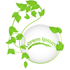 round frame of branches with fresh green leaves