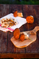 preparing fresh boletus edulis for drying over Wooden Background. Autumn Cep Mushrooms. Cooking delicious organic mushroom. Gourmet food