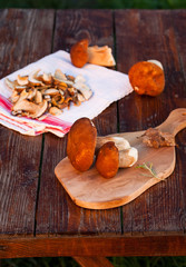Fototapeta premium preparing fresh boletus edulis for drying over Wooden Background. Autumn Cep Mushrooms. Cooking delicious organic mushroom. Gourmet food