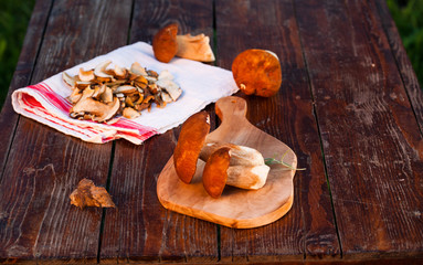 preparing fresh boletus edulis for drying over Wooden Background. Autumn Cep Mushrooms. Cooking delicious organic mushroom. Gourmet food