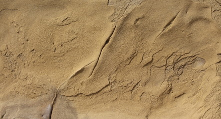 Background stone sandstone, processed by sea waves and rain.