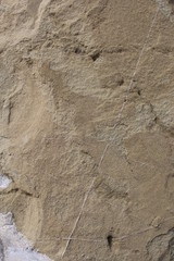 Background stone sandstone, processed by sea waves and rain.