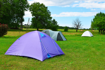 Three tents on meadow with green trees on background in sunny summer day with copy space for text on grass. Traveling, camping and hiking concept.