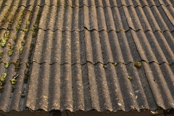 Old Slate Roof Covered With Moss 