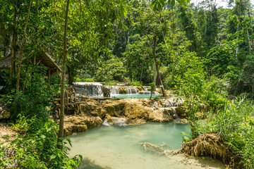Fototapeta na wymiar Tad Kwang Si (Xi) the biggest water fall land mark in Luang Prabang, Laos ,beautiful turquoise color water at tropical forest in north Lao, for use as a background or travel advertisement image
