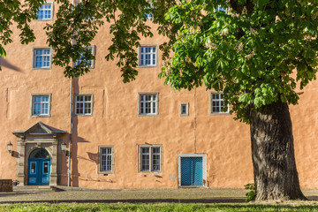 Fototapeta premium Tree at the castle square of Hann. Munden, Germany