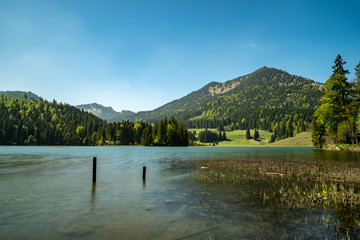 A long time exposure at the Spitzingsee with some water plants