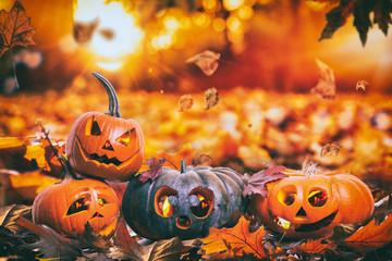 Halloween im Laub Kürbisse mit Kerzen 