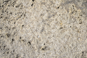 Muro di cemento texture sfondo