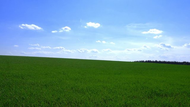 green field and cloudy sky