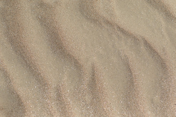 Fototapeta na wymiar warm sand on the Baltic Sea beach